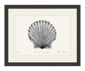 Scallop Print (b&w)