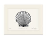 Scallop Print (b&w)