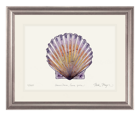 Scallop Print