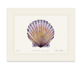 Scallop Print