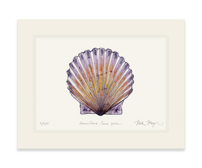 Scallop Print
