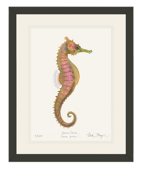 Estuary Seahorse Print