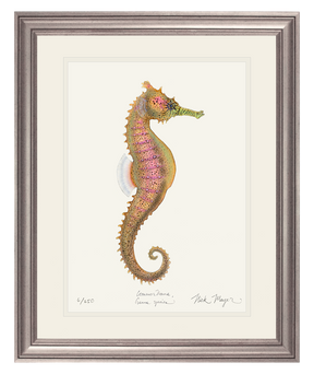 Estuary Seahorse Print