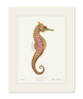 Estuary Seahorse Print