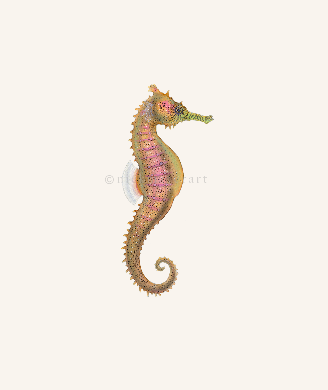 Estuary Seahorse Print