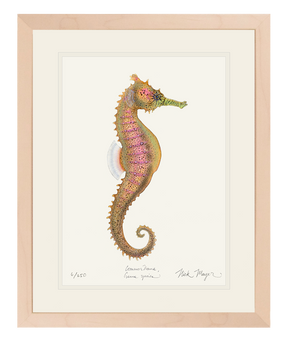Estuary Seahorse Print
