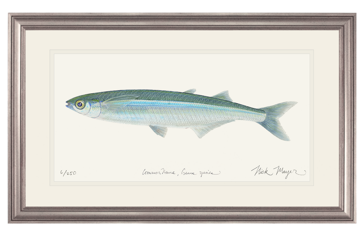 Smelt Print