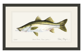 Snook Print