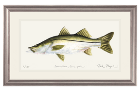 Snook Print