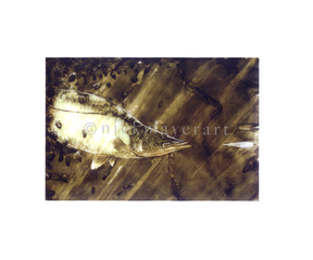 watermark