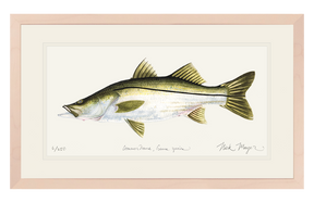 Snook Print