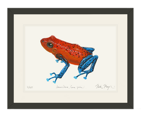 Strawberry Poison Dart Frog Print