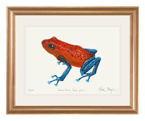 Strawberry Poison Dart Frog Print