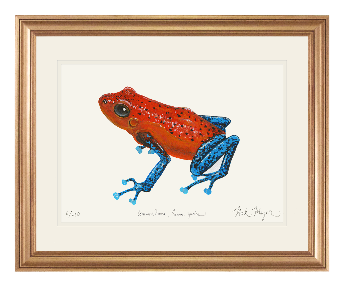 Strawberry Poison Dart Frog Original Watercolor Painting