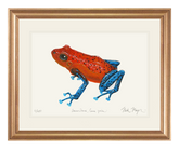 Strawberry Poison Dart Frog Original Watercolor Painting