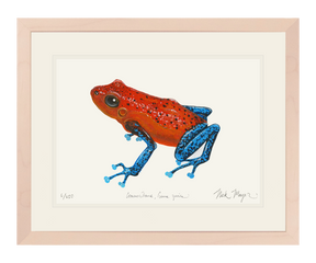Strawberry Poison Dart Frog Print