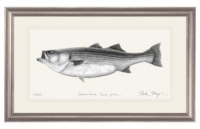 Striped Bass, 60 lbs B&W Print