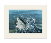 Launching Striper and Deceiver Print