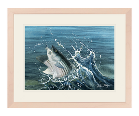 Launching Striper and Deceiver Print