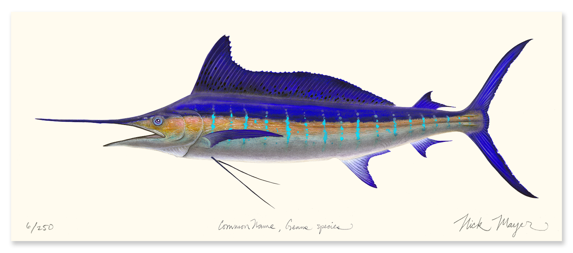 Striped Marlin Masterwork Limited Edition Canvas