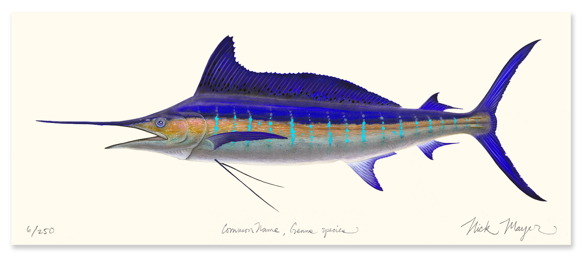 Striped Marlin Masterwork Canvas