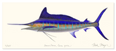Striped Marlin Masterwork Canvas