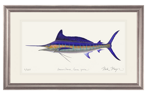 Striped Marlin Print