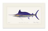 Striped Marlin Print