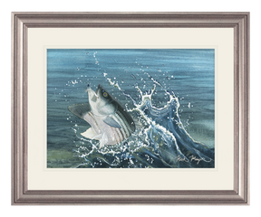 Launching Striper and Deceiver Original Painting