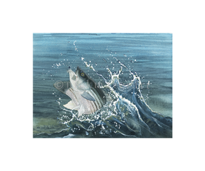 watermark