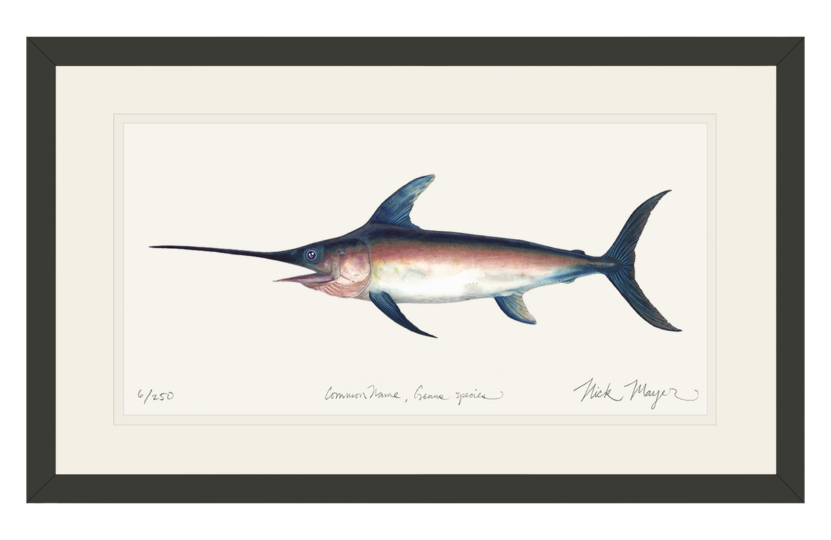 Swordfish_bl.png?v=1736367773&