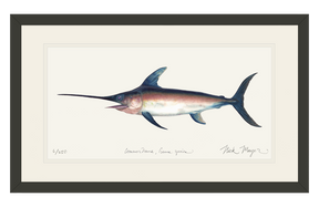 Swordfish Print