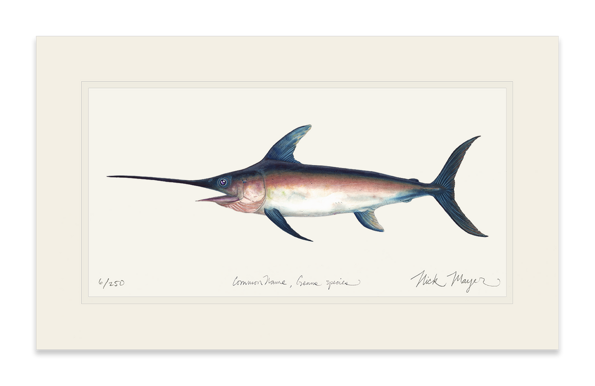 Swordfish Print