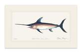 Swordfish Print