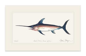 Swordfish Print
