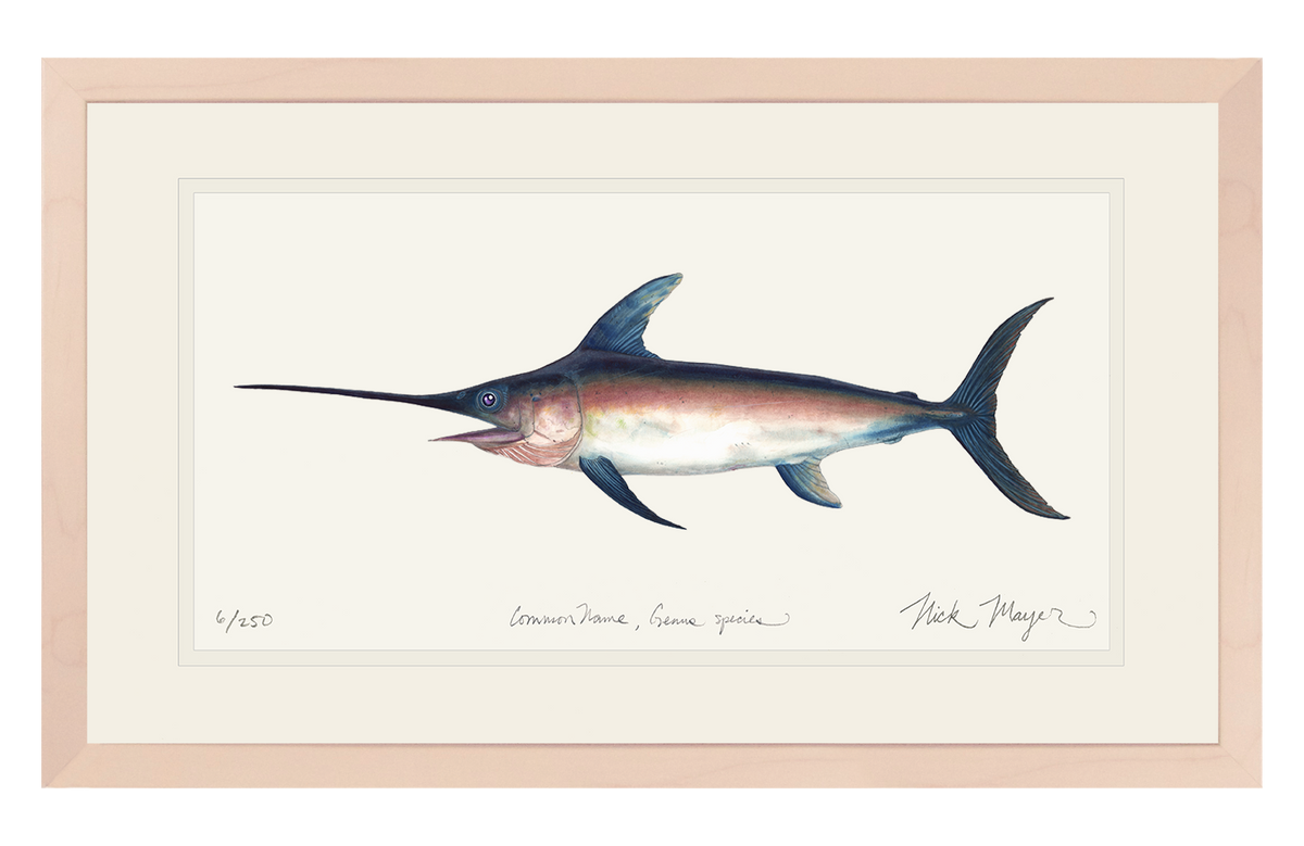 Swordfish Print