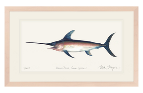 Swordfish Print