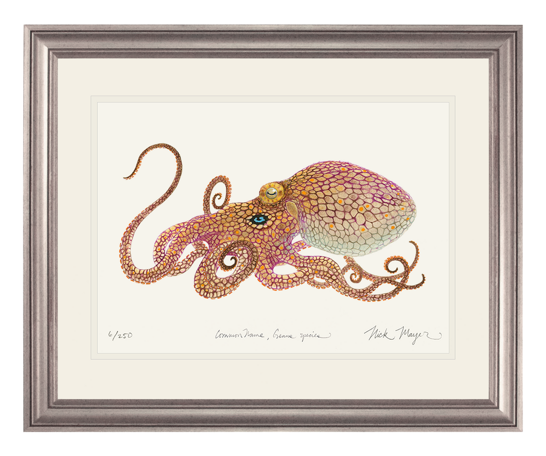 Octopus print for a marine touch to your decor