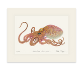 California Two Spot Octopus Print - Best Seller