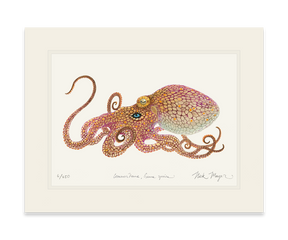 California Two Spot Octopus Print - Best Seller