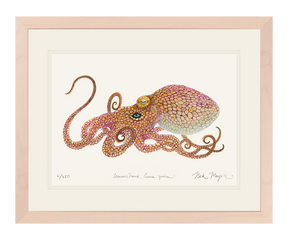 California Two Spot Octopus Print - Best Seller
