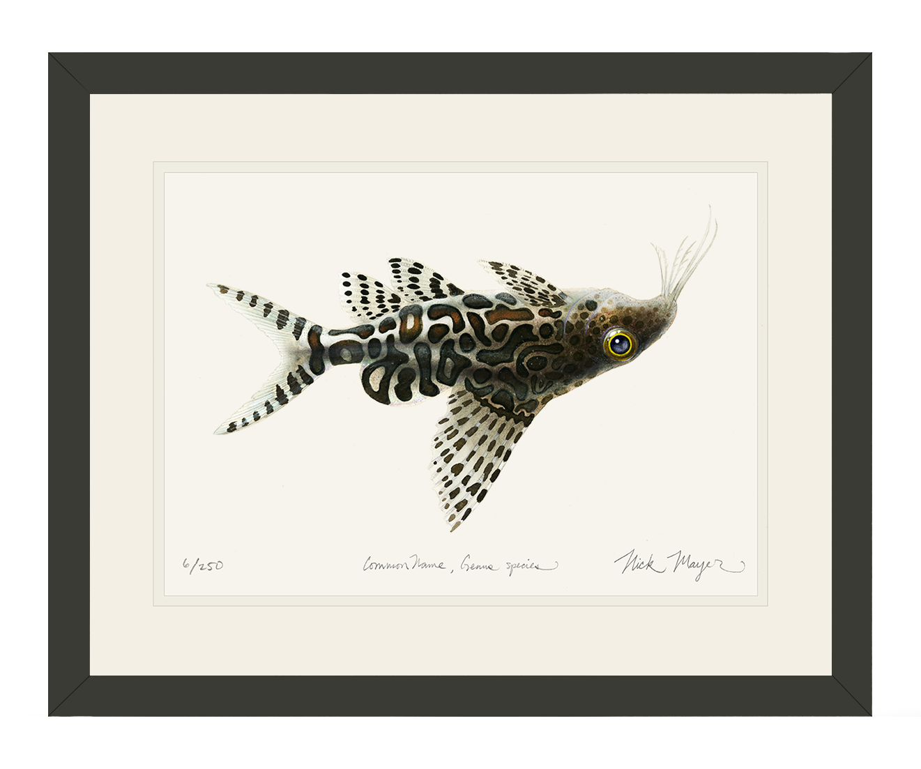 Upsidedown Catfish Limited Edition Print