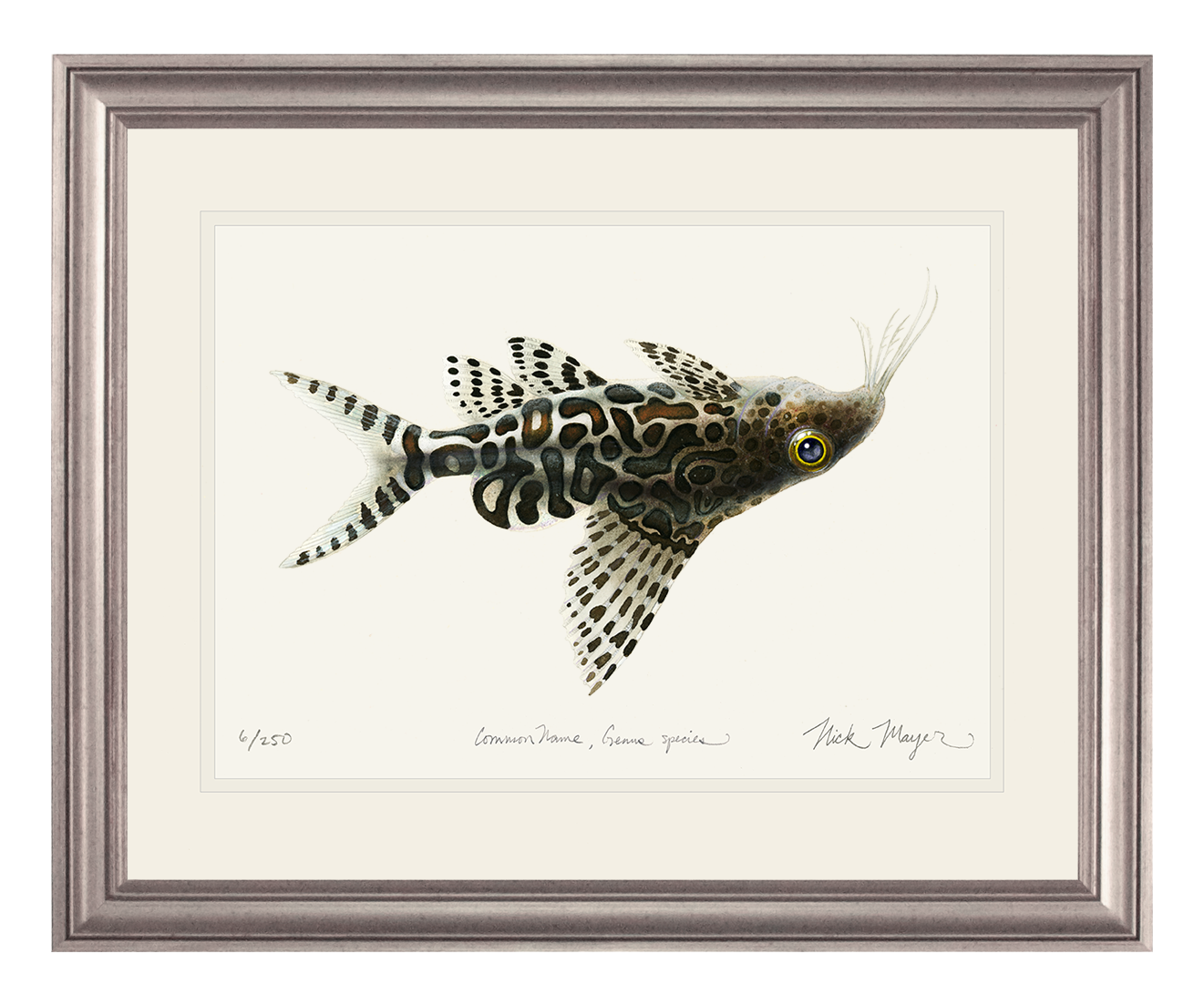 Upsidedown Catfish Limited Edition Print