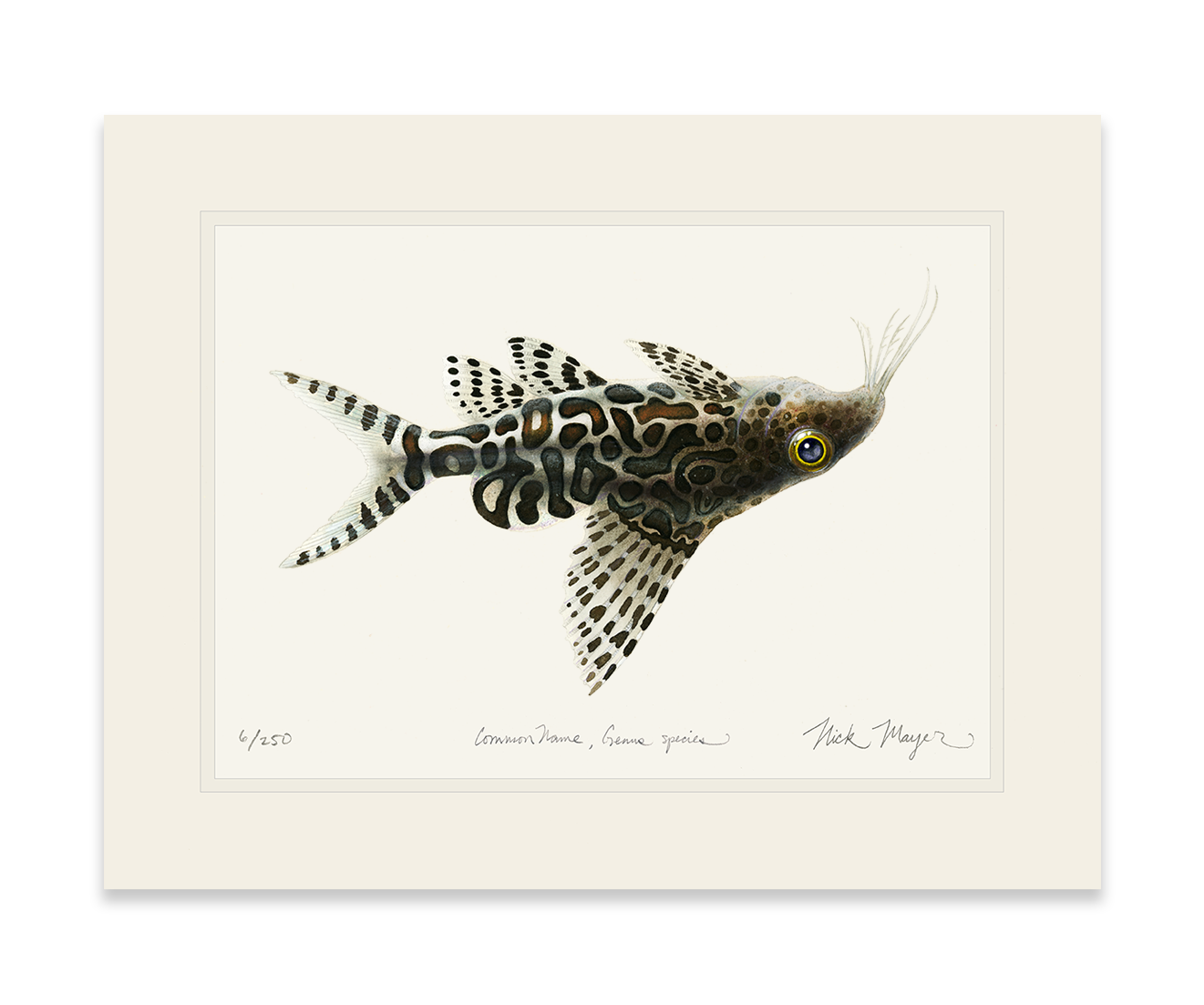 Upsidedown Catfish Limited Edition Print