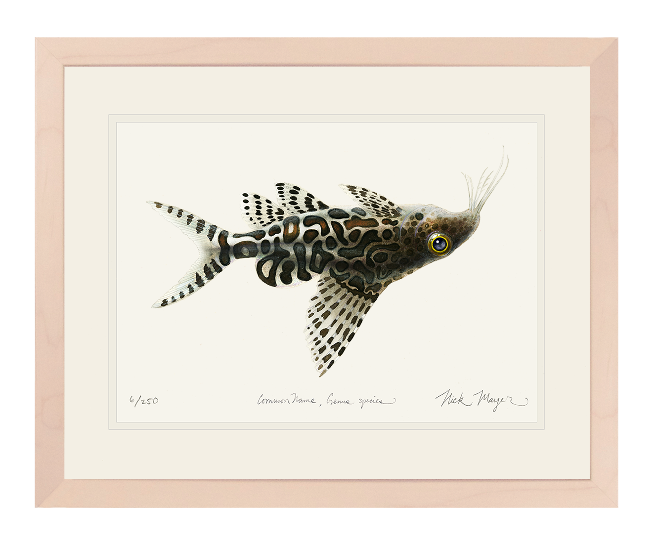 Upsidedown Catfish Limited Edition Print