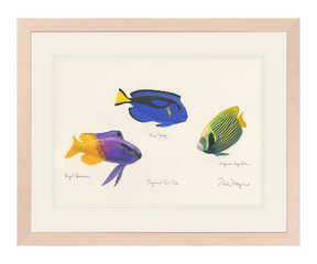 Tropical Fish Trio