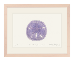 Purple Sand Dollar Print