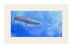 Wahoo Scene