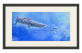 Wahoo Scene