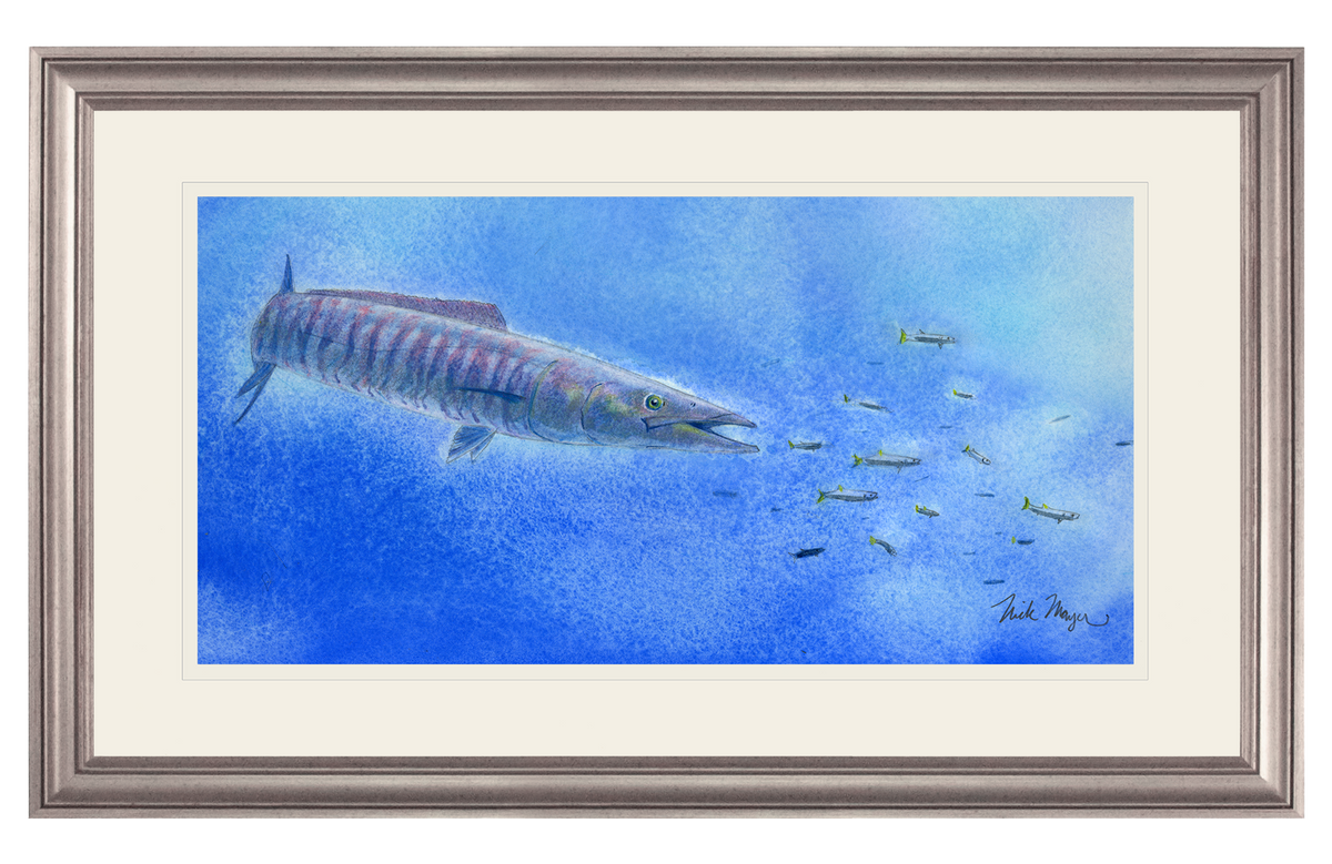 Wahoo Scene